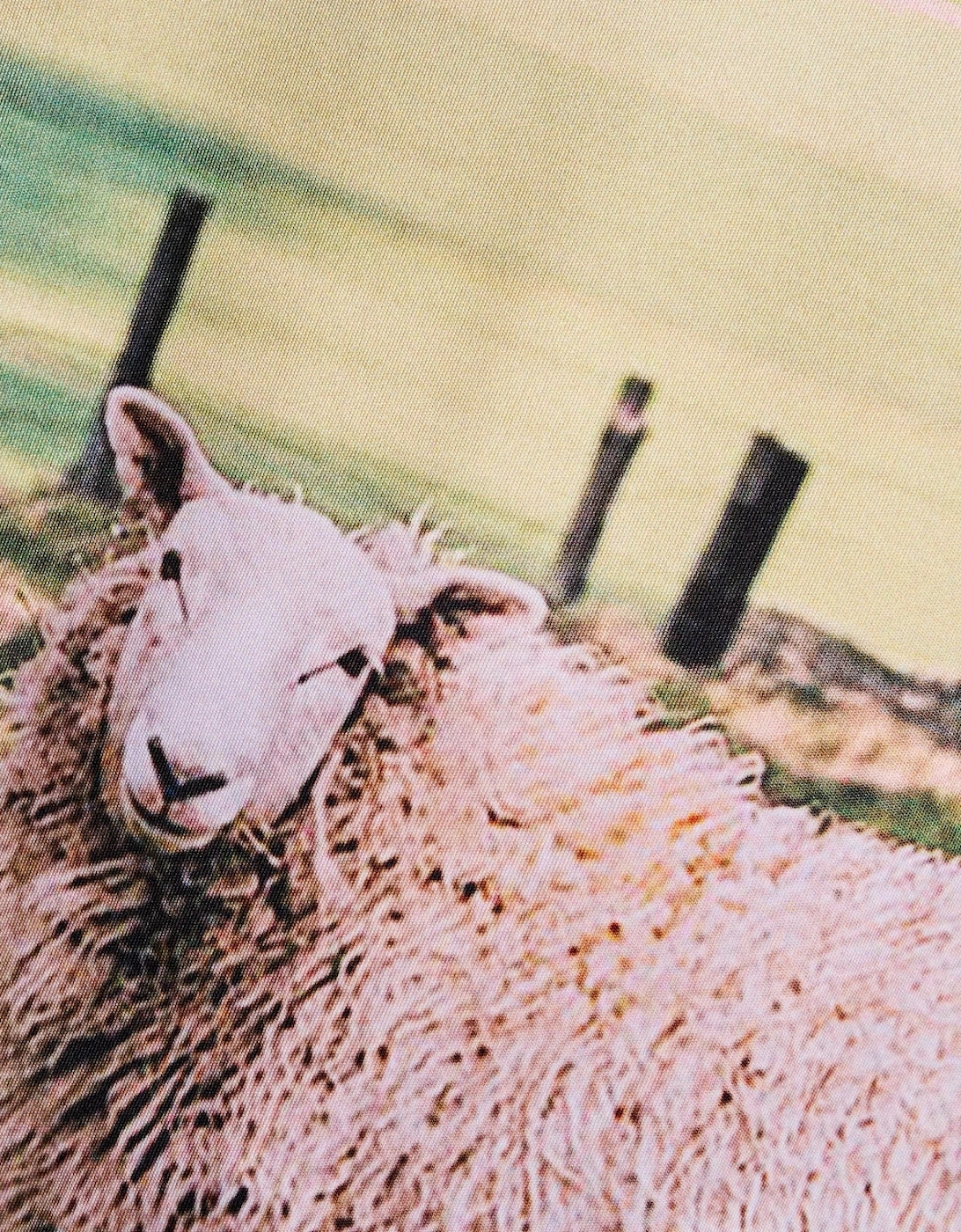 Sheep Graphic Long Sleeve Football Jersey