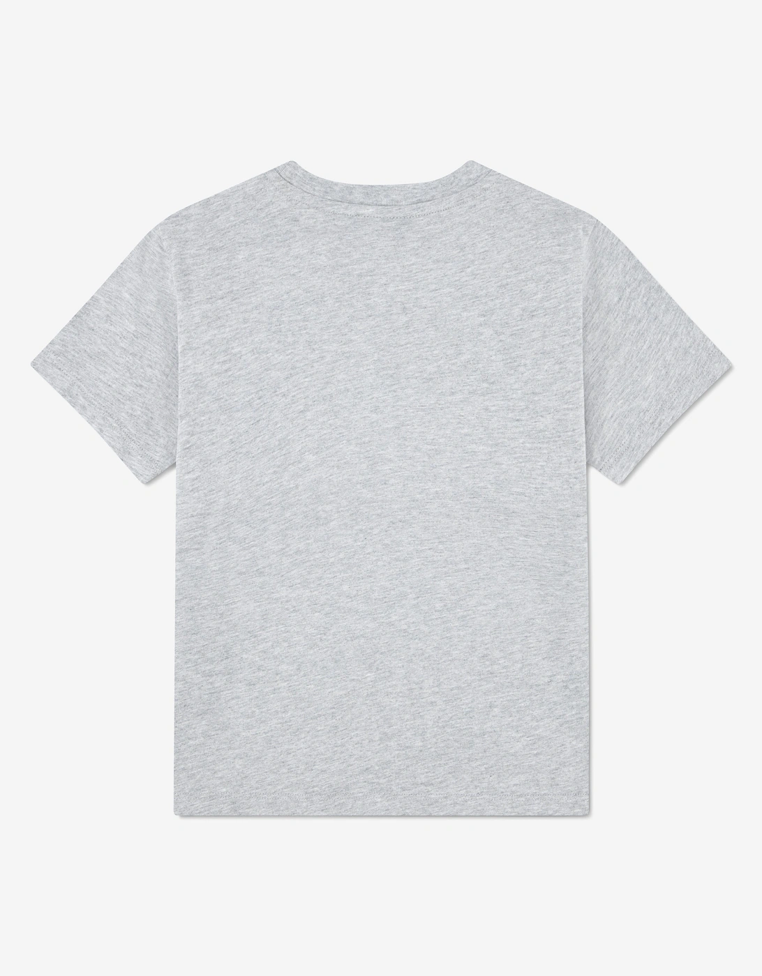 Boys Logo T-Shirt in Grey