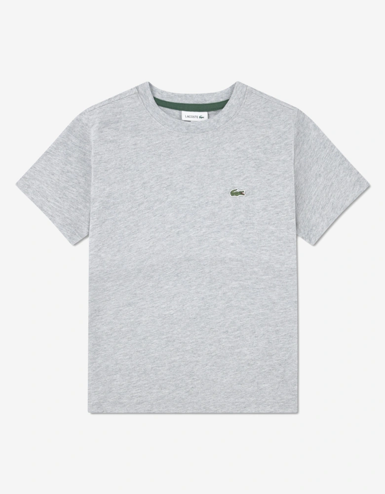 Boys Logo T-Shirt in Grey