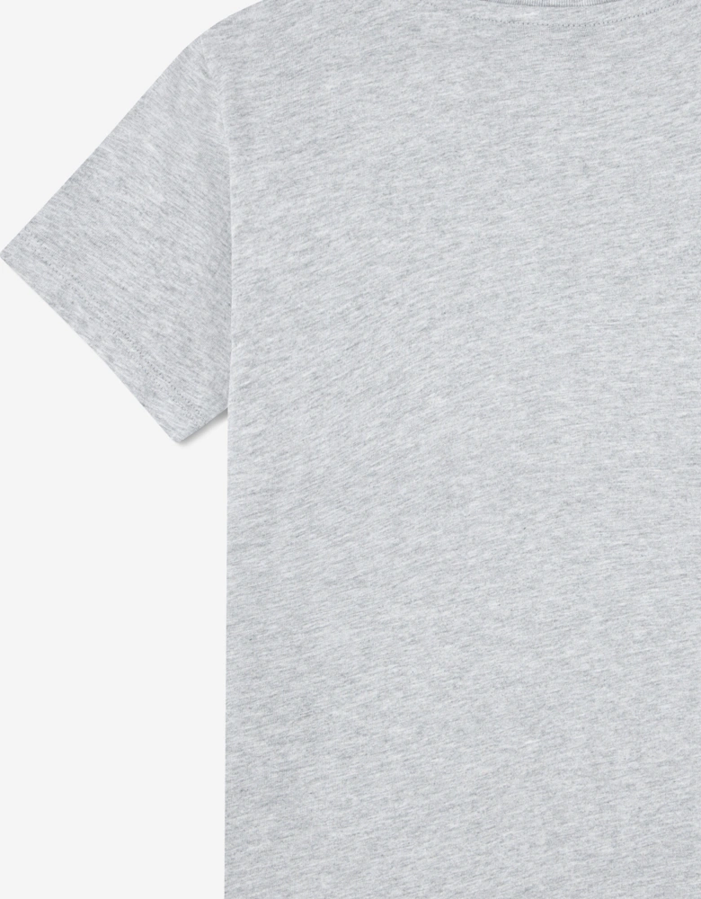 Boys Logo T-Shirt in Grey
