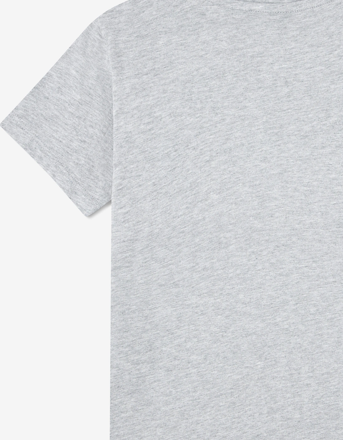 Boys Logo T-Shirt in Grey