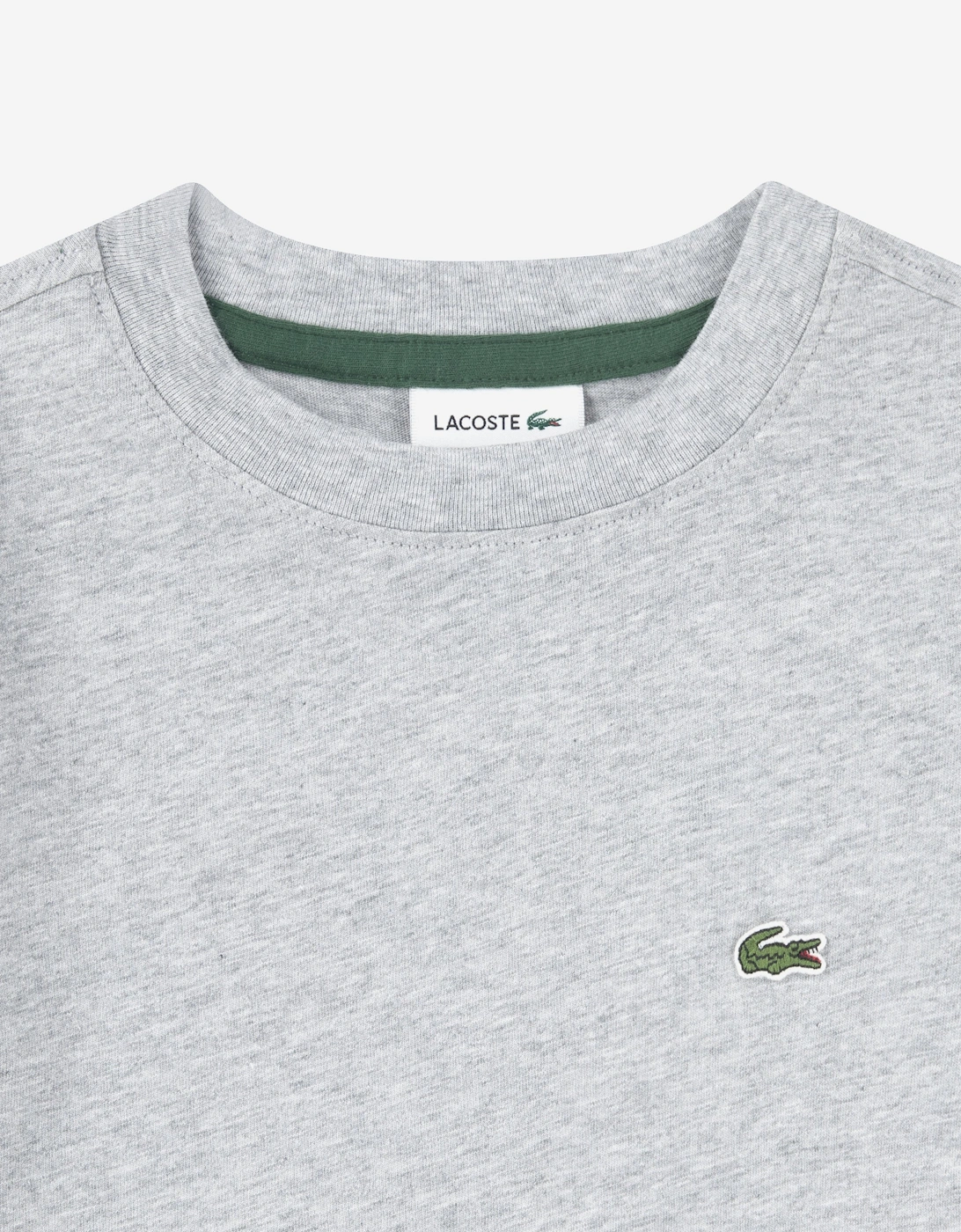 Boys Logo T-Shirt in Grey