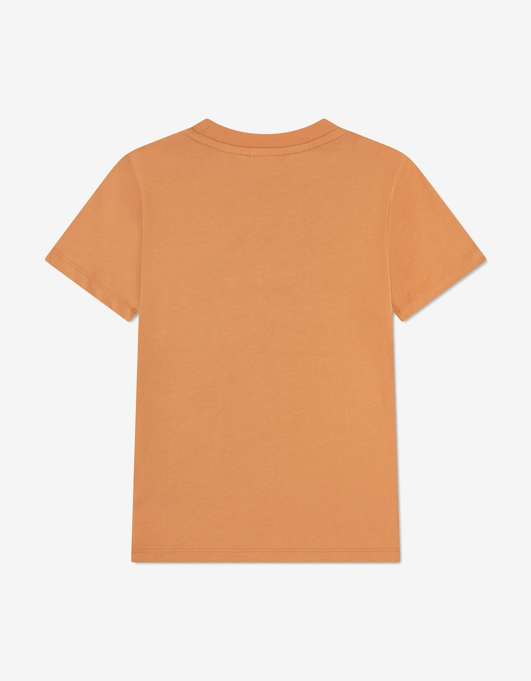 Boys Logo T-Shirt in Orange