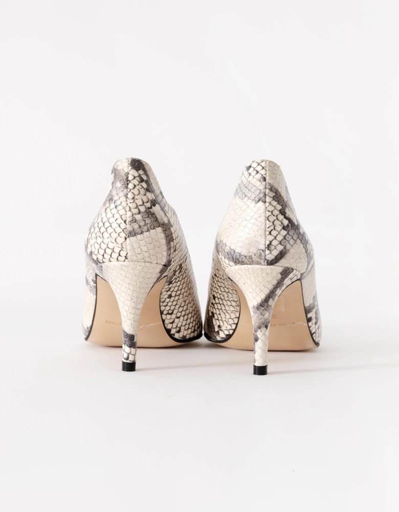 Dakota Womens Heeled Shoe - Boa