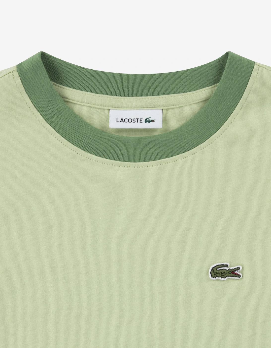 Boys Colourblock Relaxed T-Shirt in Green