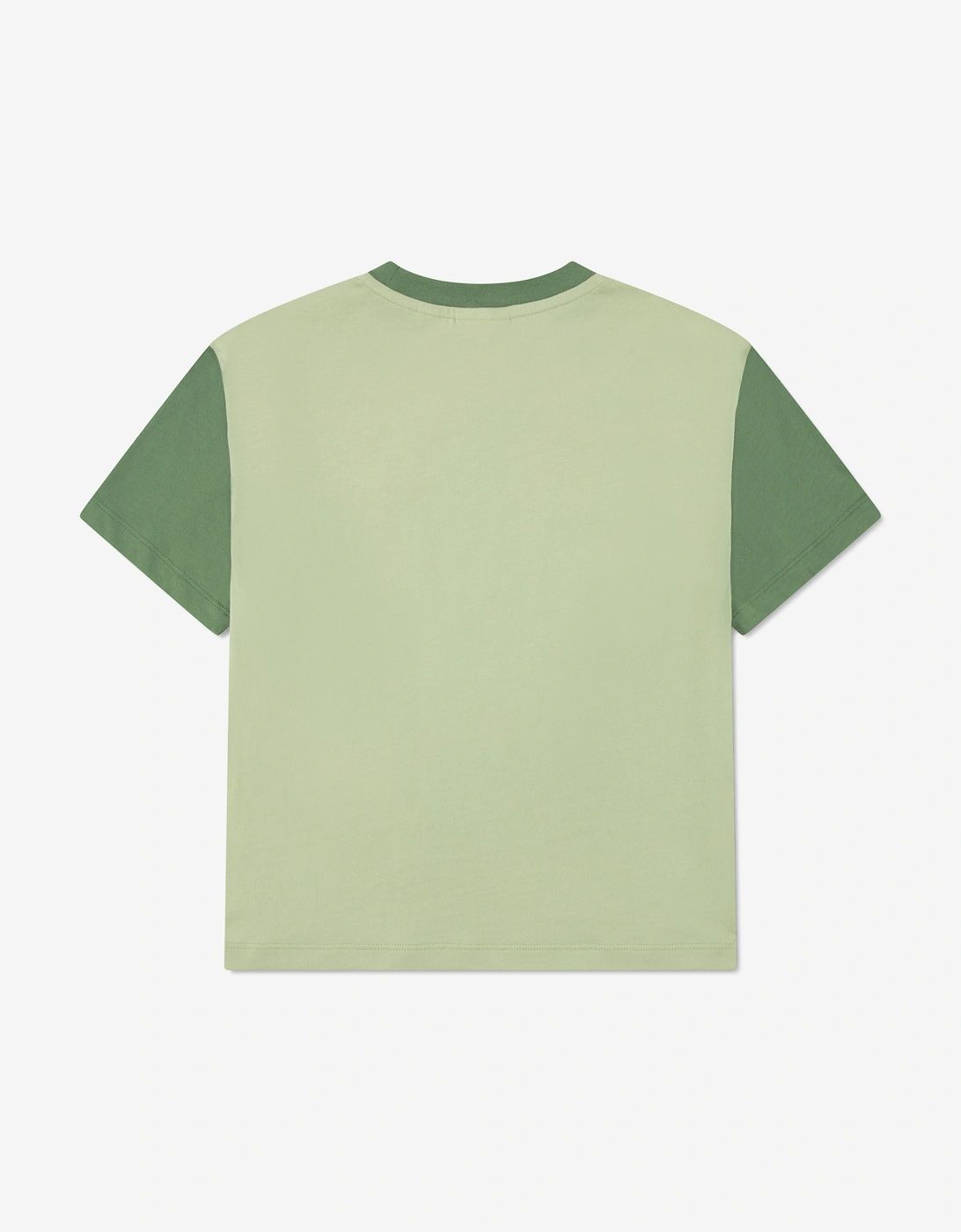 Boys Colourblock Relaxed T-Shirt in Green