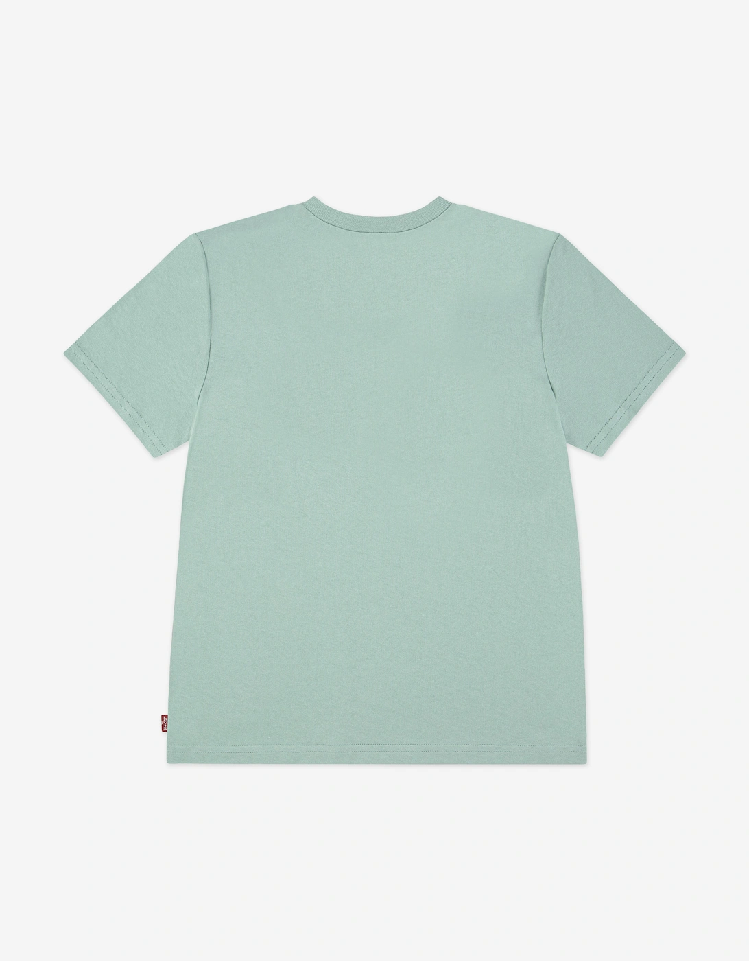 Boys Batwing T-Shirt in Green