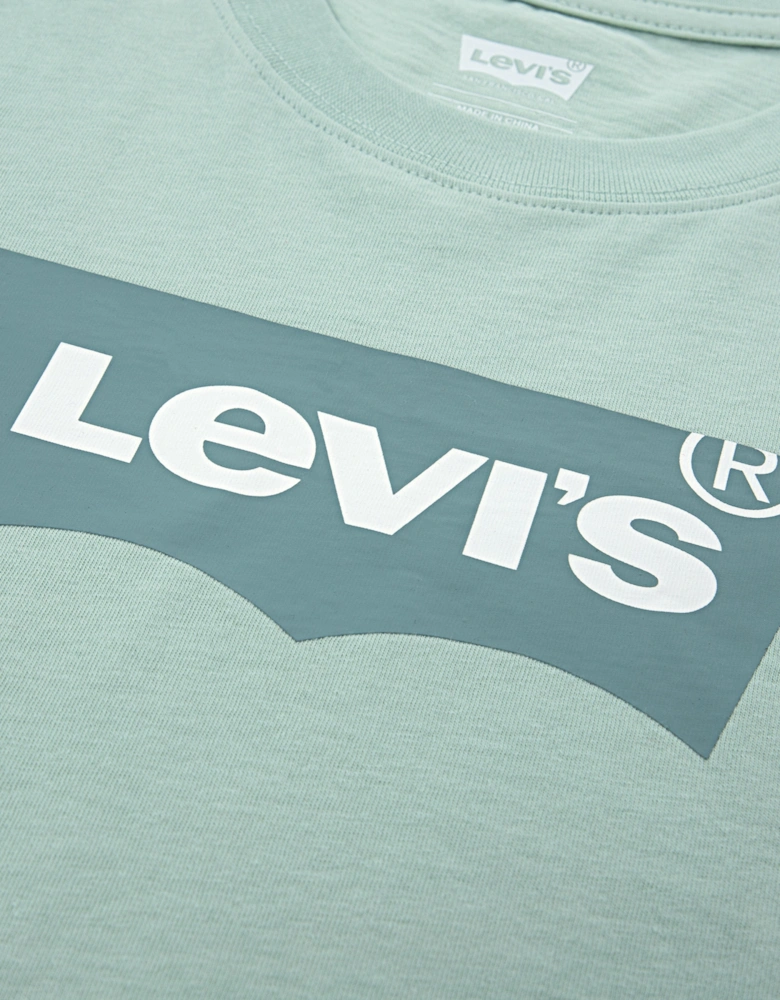 Boys Batwing T-Shirt in Green