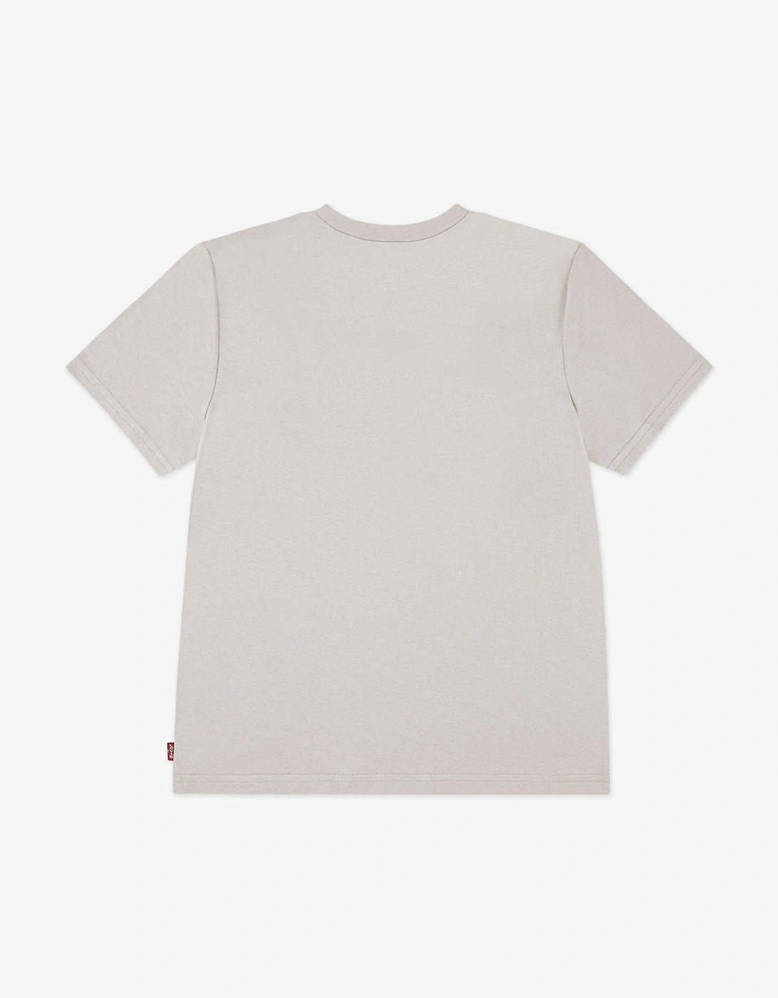 Boys Batwing T-Shirt in Beige