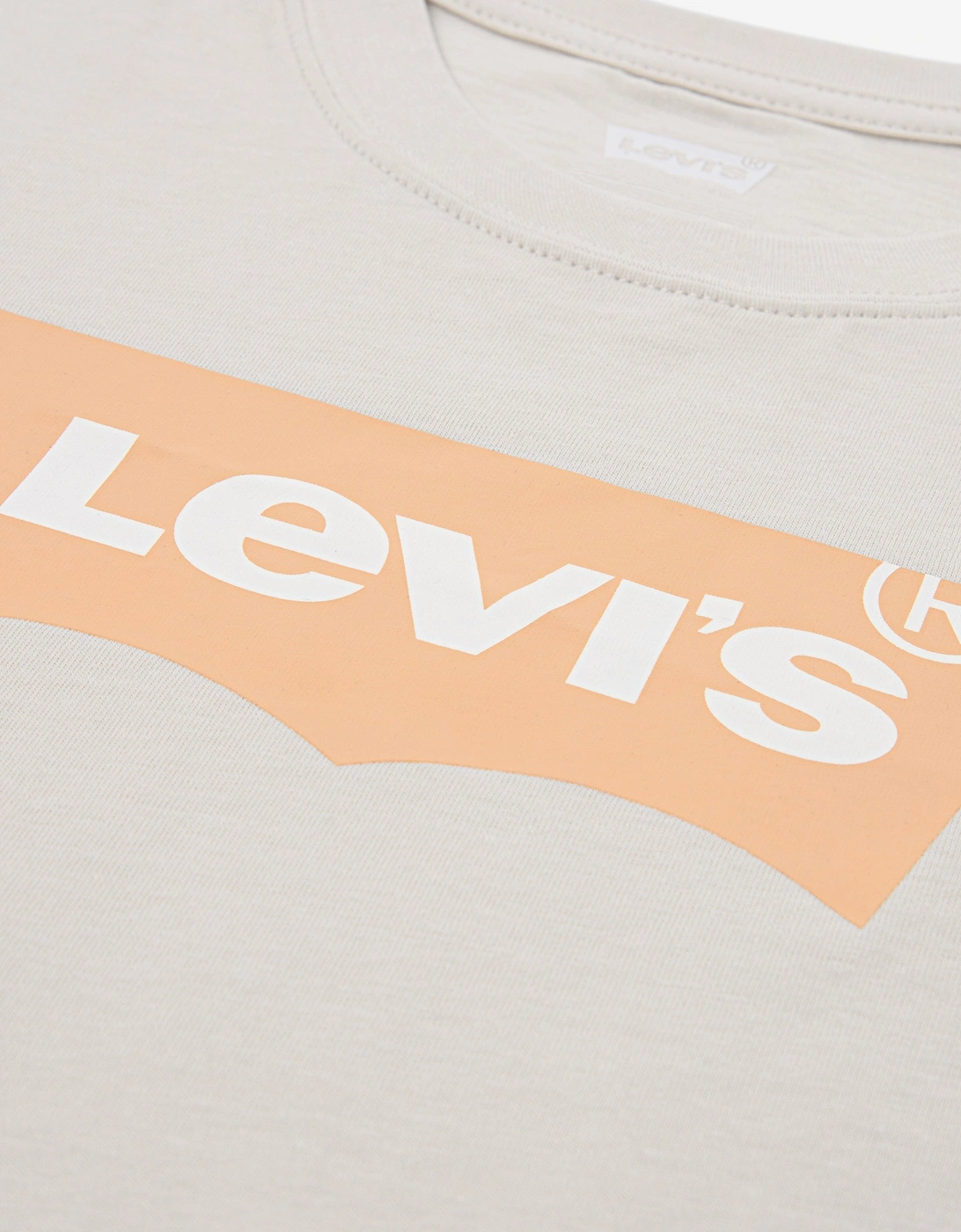 Boys Batwing T-Shirt in Beige