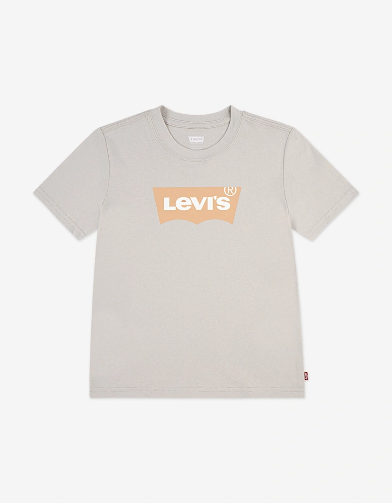 Boys Batwing T-Shirt in Beige