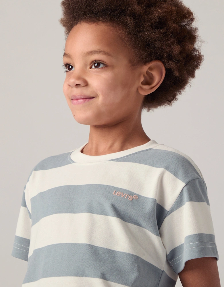 Boys Big Stripe T-Shirt in Green