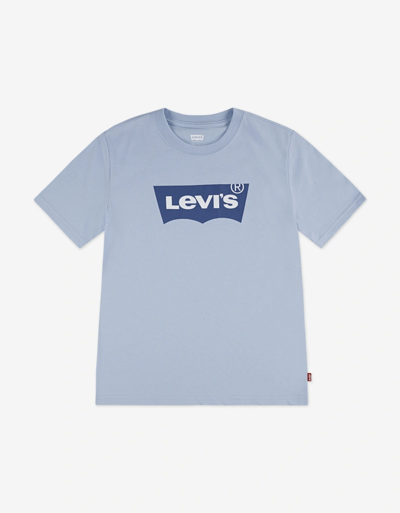 Boys Batwing T-Shirt in Blue