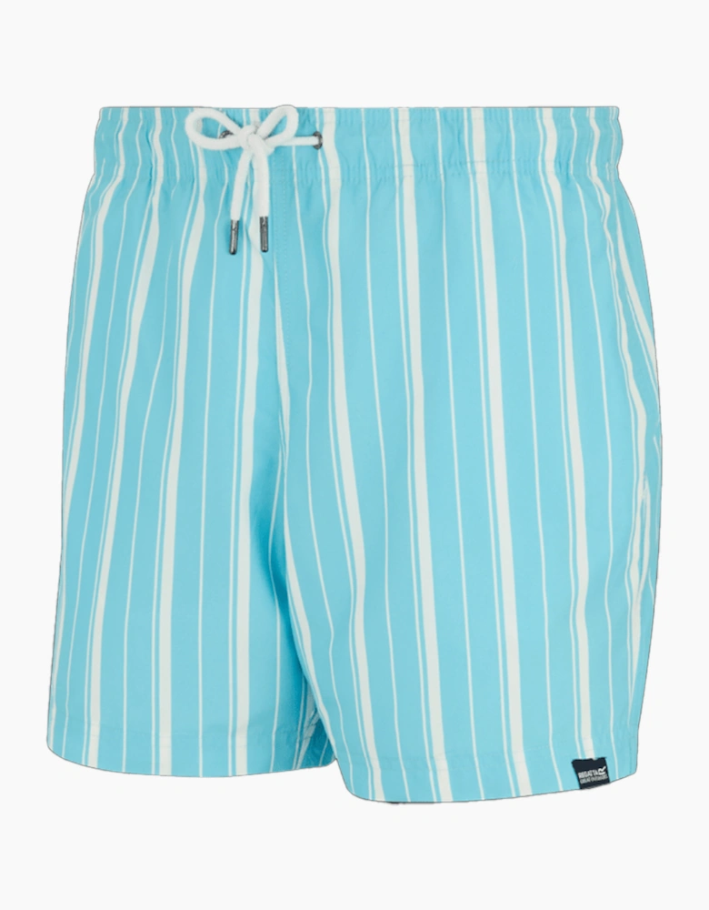 Mens Loras Stripe Swim Shorts