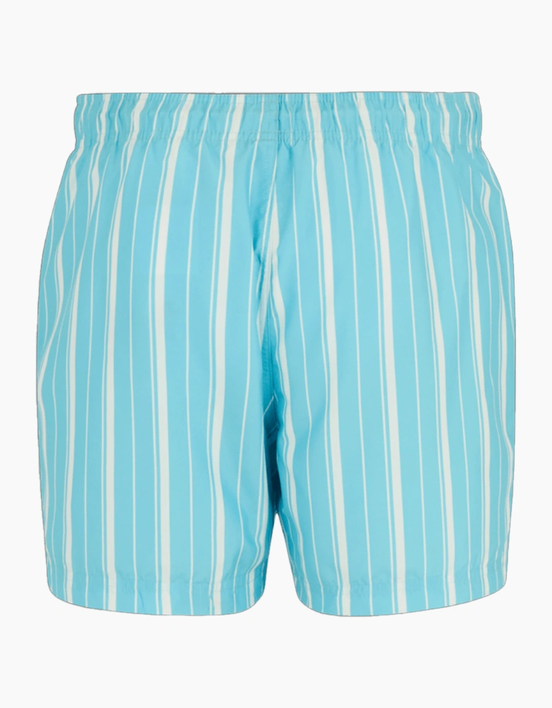 Mens Loras Stripe Swim Shorts