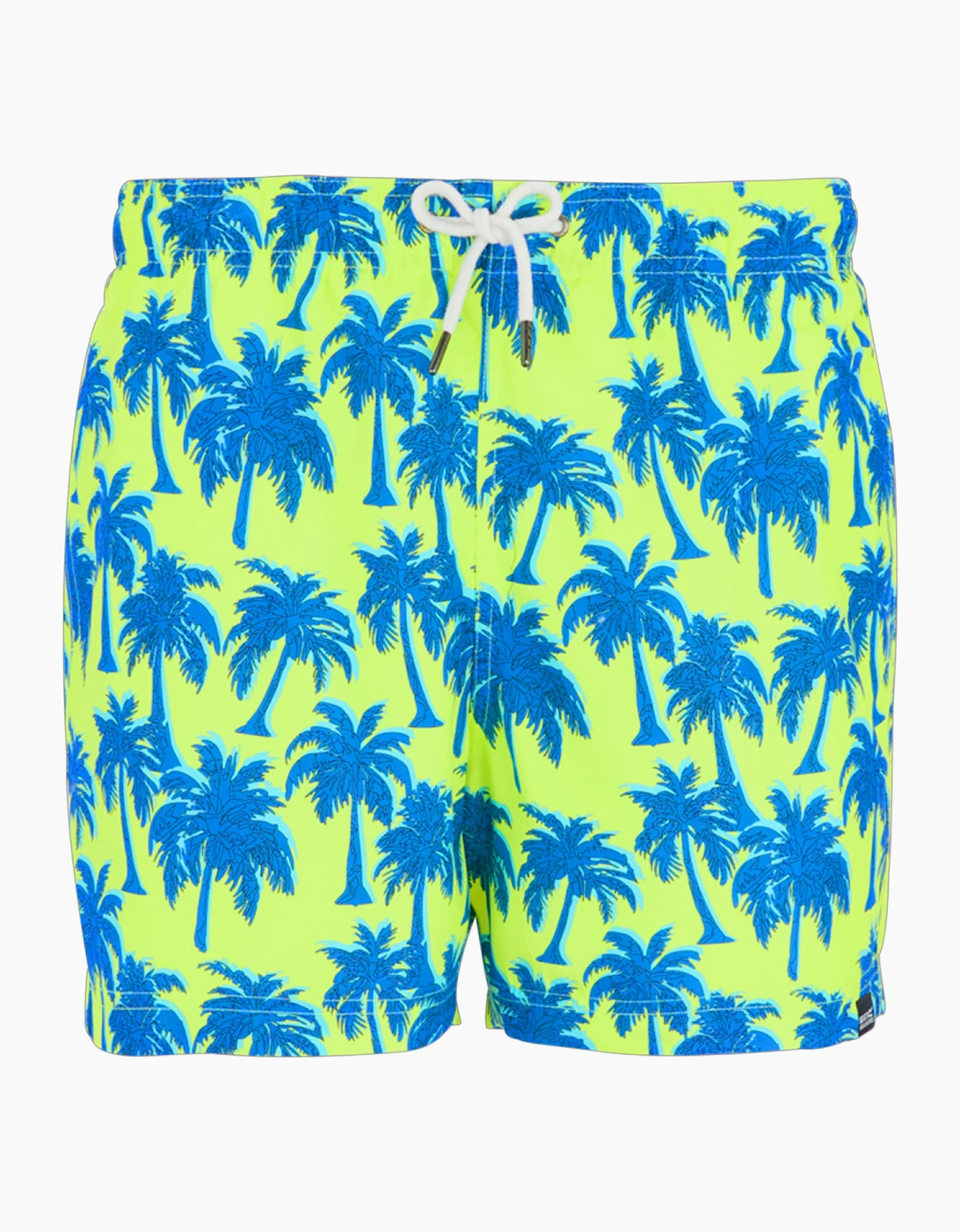 Regatta Men's Regatta Mens Loras Palm Swim Shorts - Sharp Green Sonic Blue