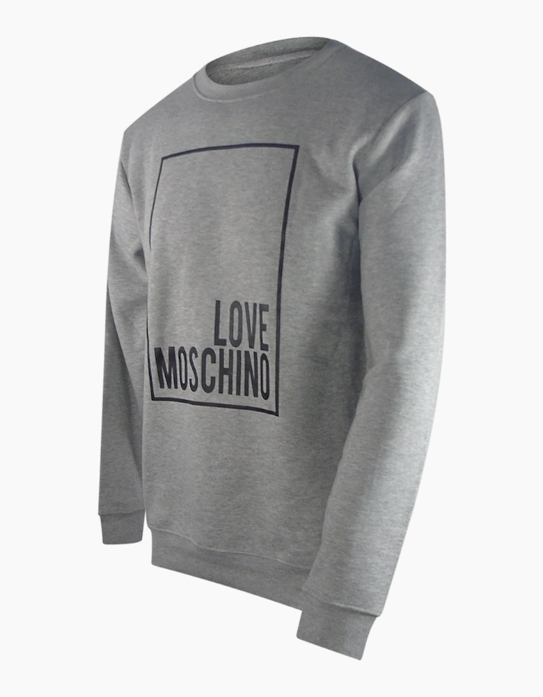 Box Logo Grey Sweatshirt