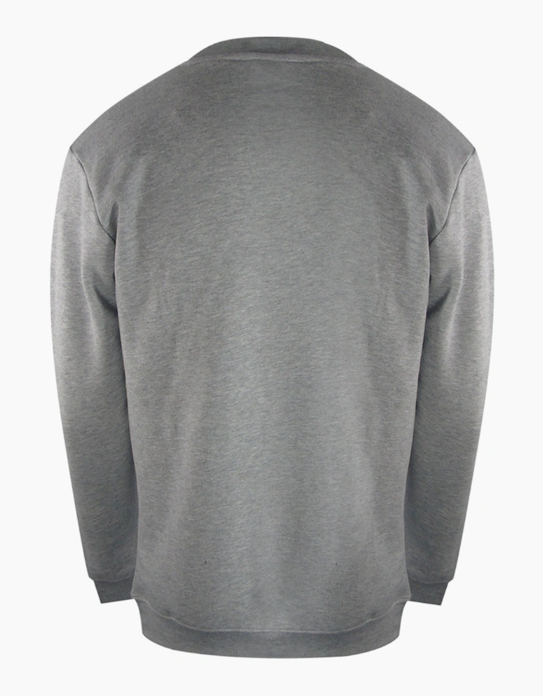 Box Logo Grey Sweatshirt