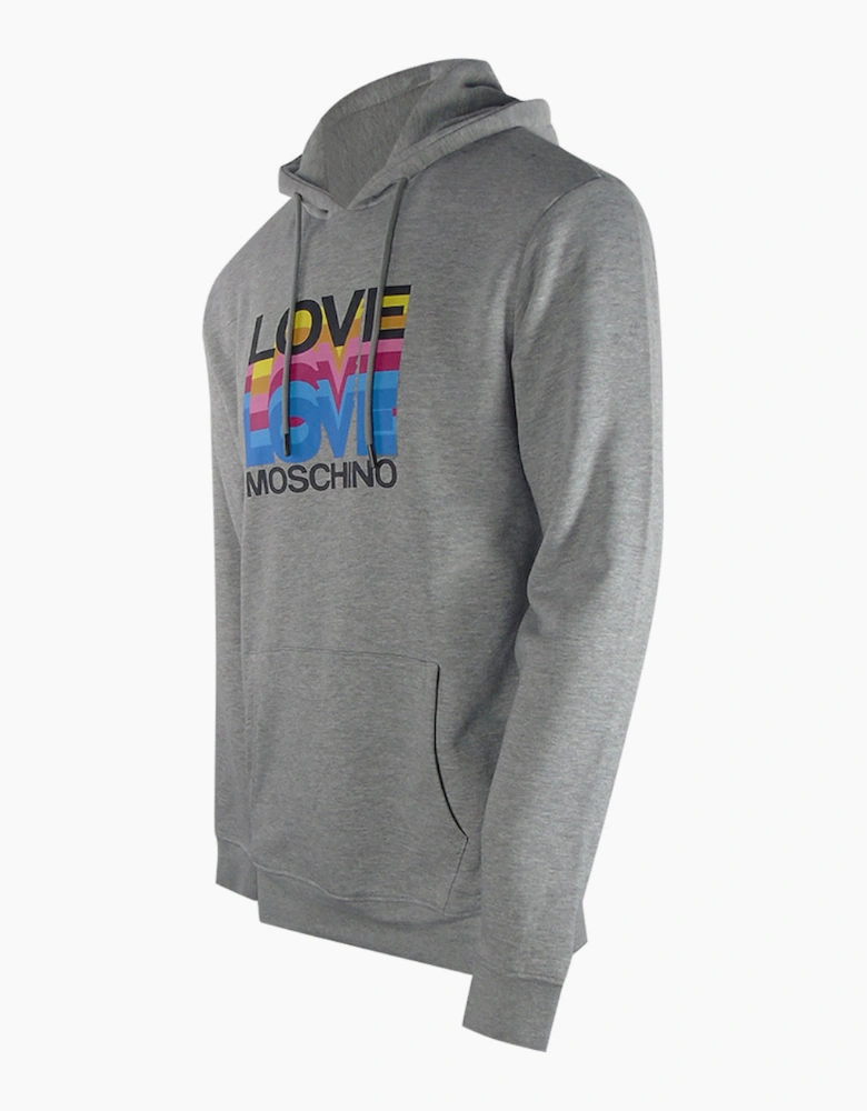 Multi Logo Grey Hoodie