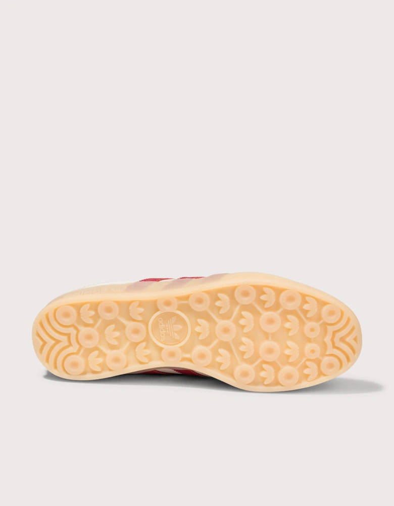 Gazelle Indoor Trainers