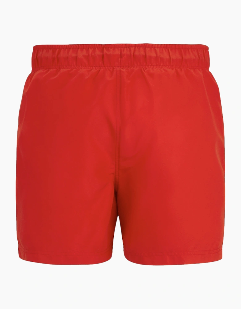 Mens Mawson II Swim Shorts