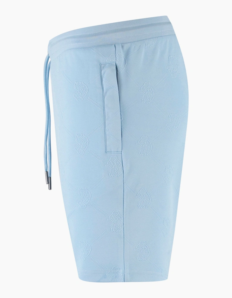 Phoenix Textured Shorts - Sky Blue