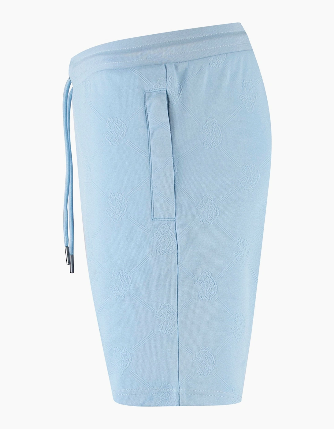 Phoenix Textured Shorts - Sky Blue