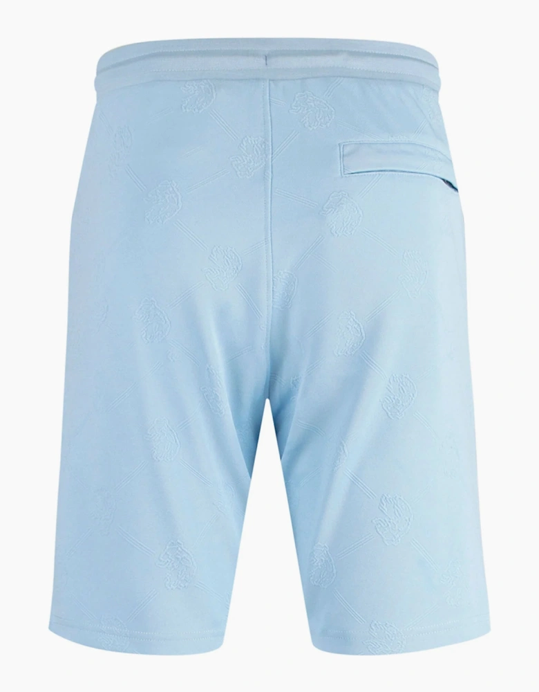 Phoenix Textured Shorts - Sky Blue