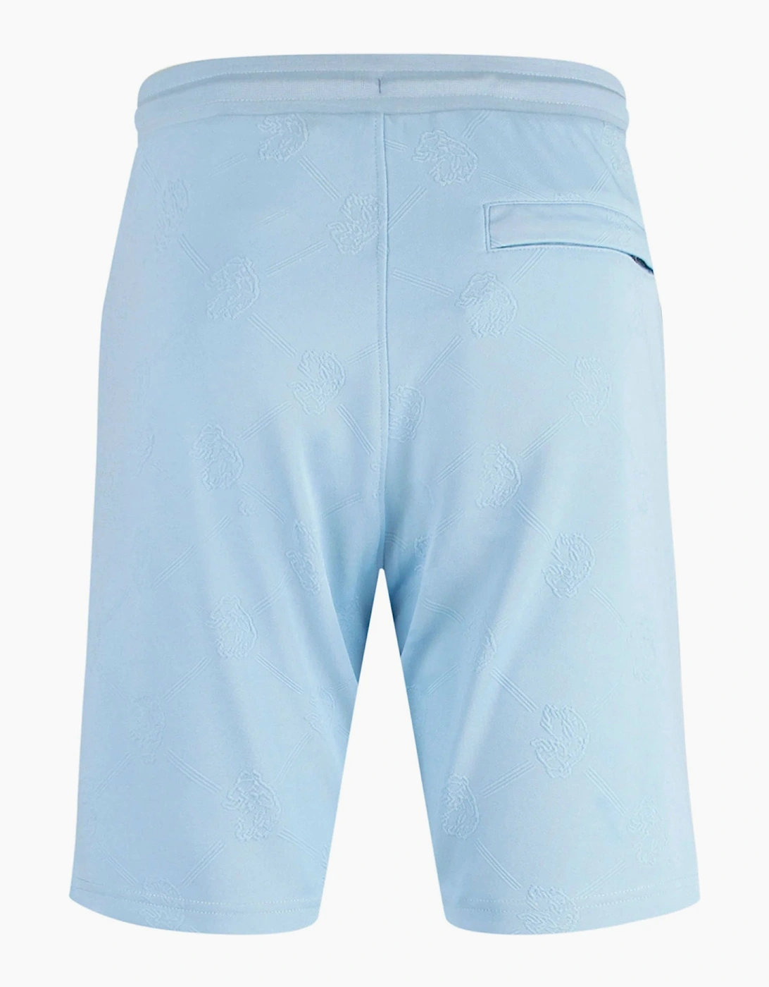Phoenix Textured Shorts - Sky Blue