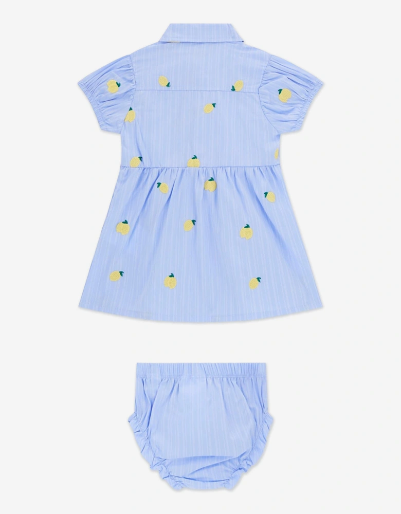 Baby Girls Shirt Dress with Knickers in Blue