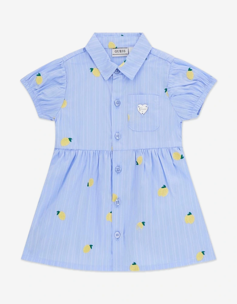 Baby Girls Shirt Dress with Knickers in Blue