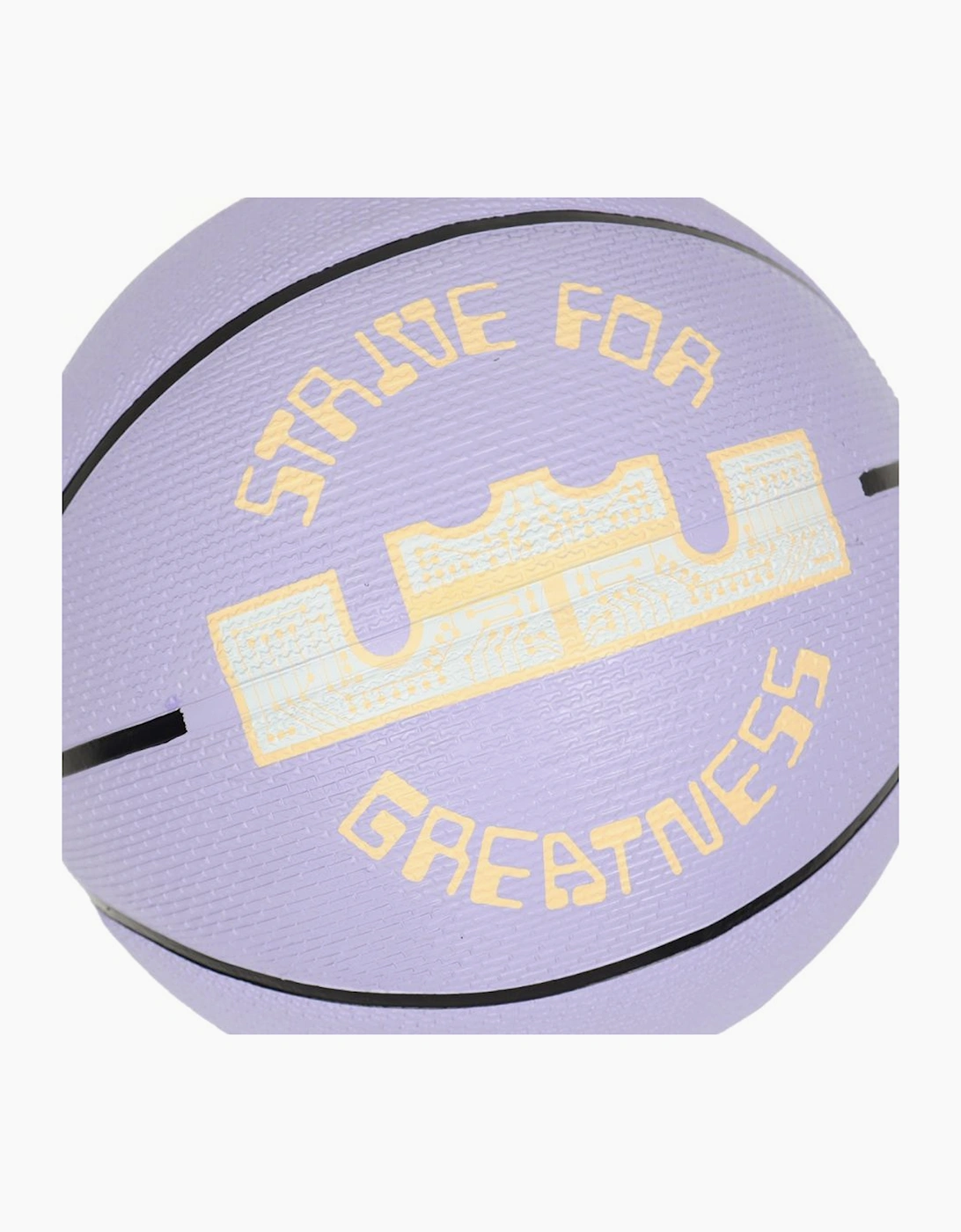 Lebron James Playground 2.0 Basketball