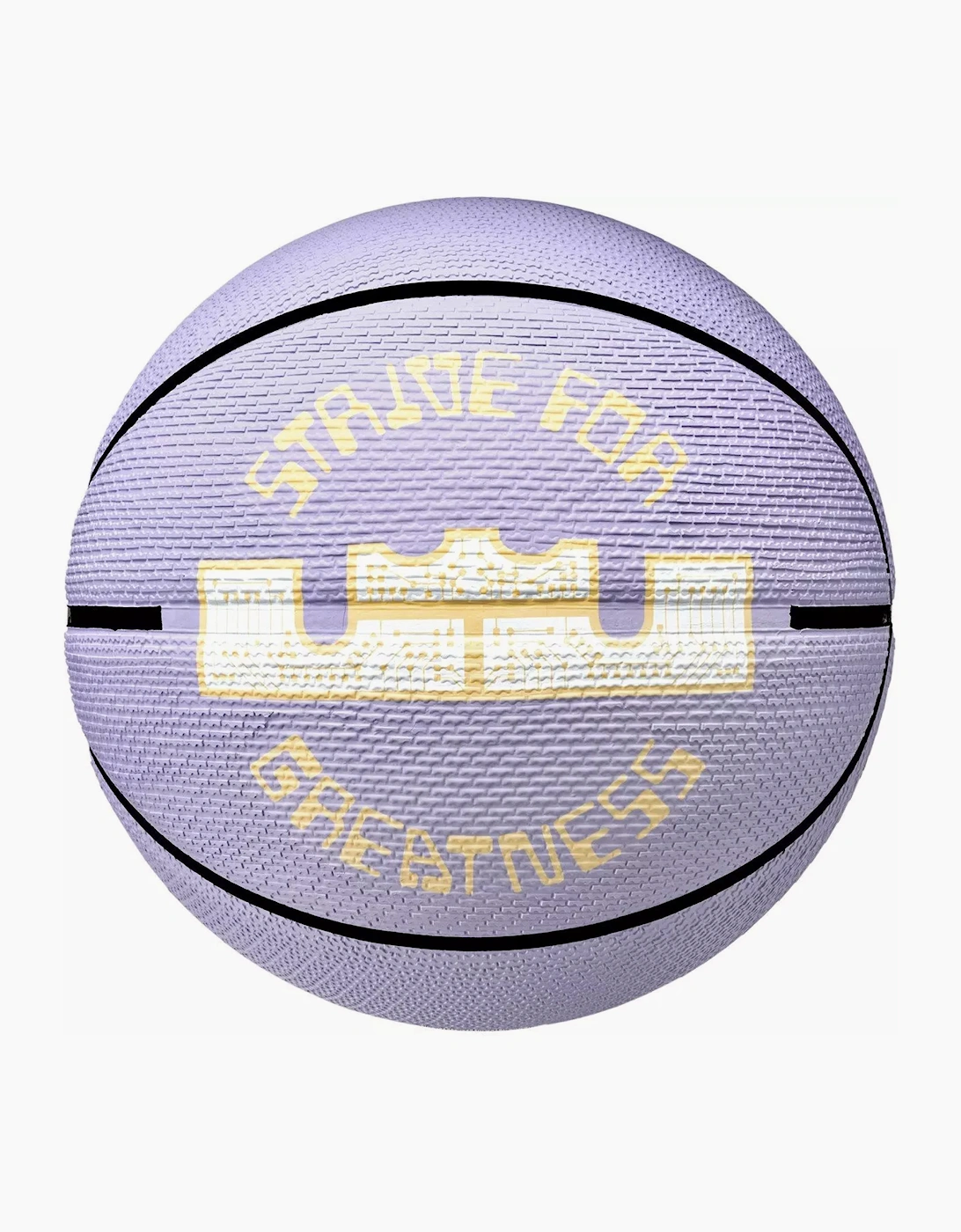 Lebron James Playground 2.0 Basketball