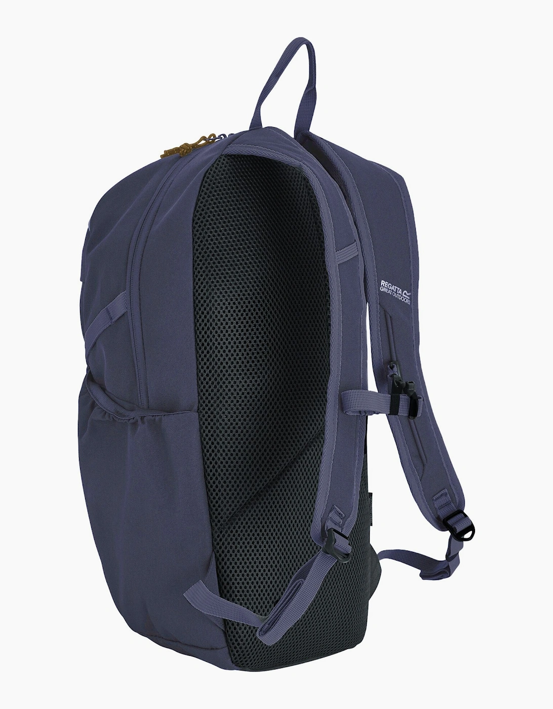 Prism 20L Backpack