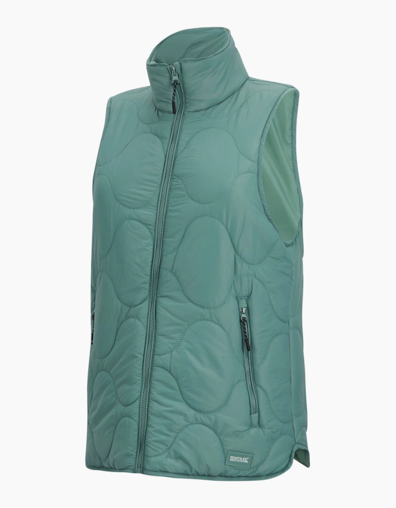 Womens/Ladies Carlotte Gilet