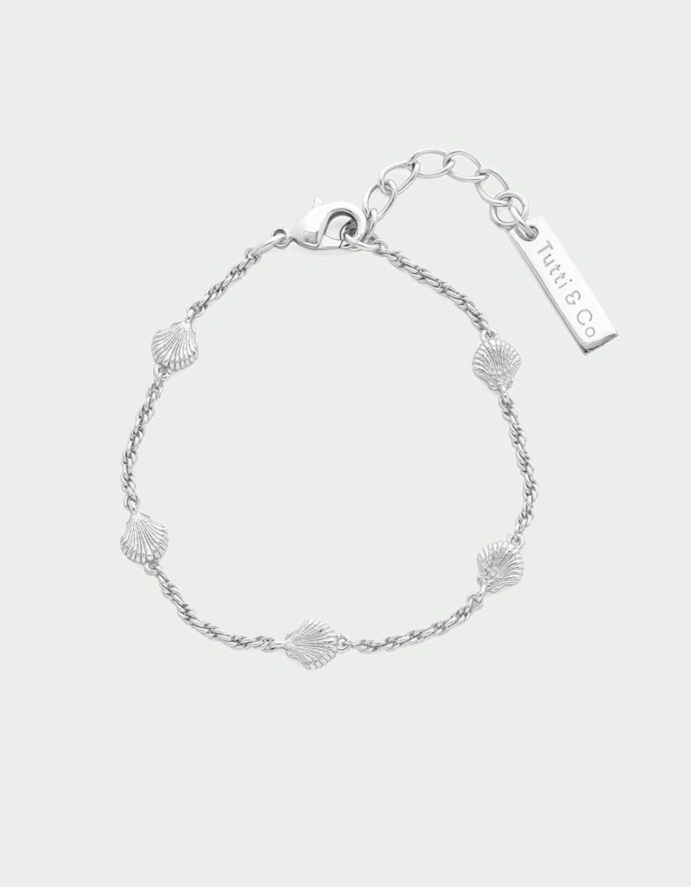 Shell Bracelet