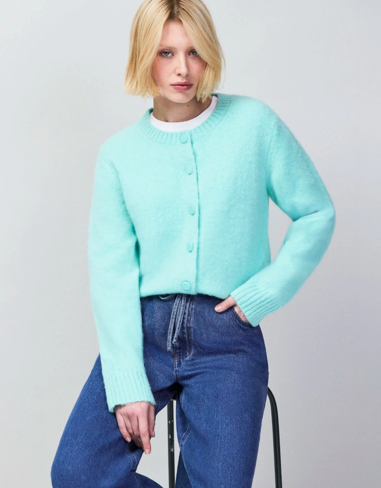 Mint Cardigan With Alpaca