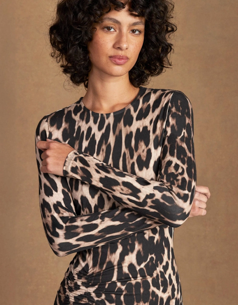 Brown Leopard Print Waist Detail Dress