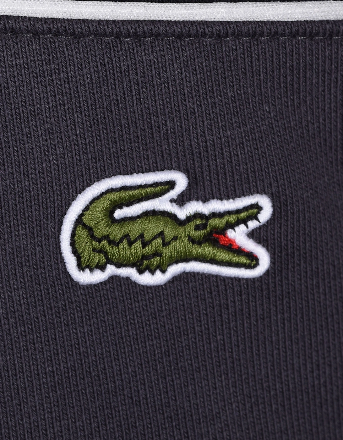 CREWNECK SWEATSHIRT BLACKBIRD/GRAPE