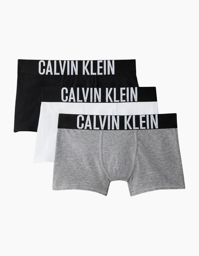 Boys 3-Pack Intense Power Boxer Trunks, Black/White/Grey