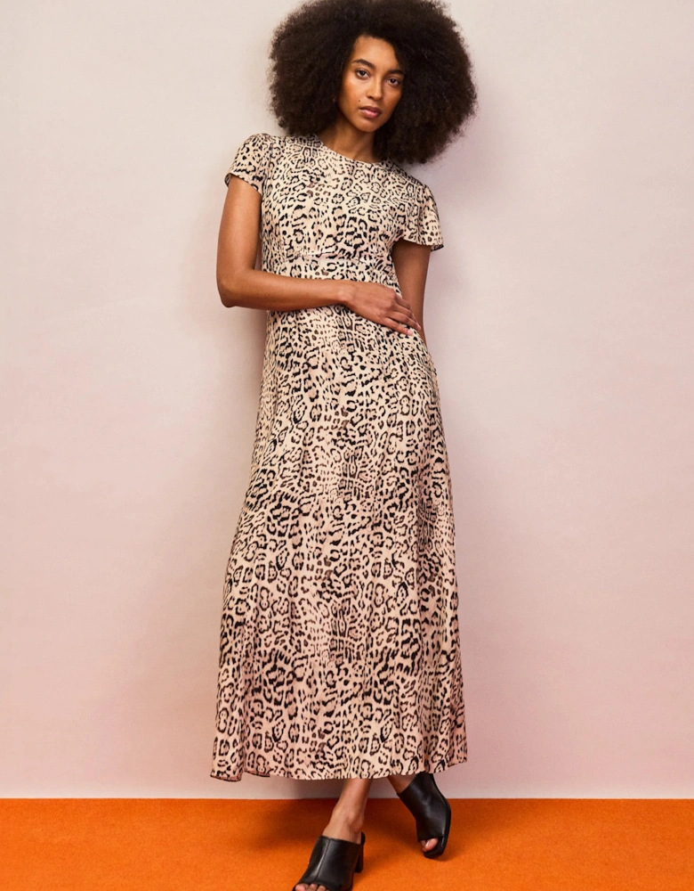 Petite Leopard Print Seam Detail Midi Dress