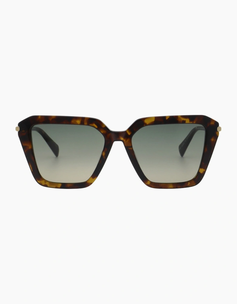 All Saints Gwen Women's Sunglasses