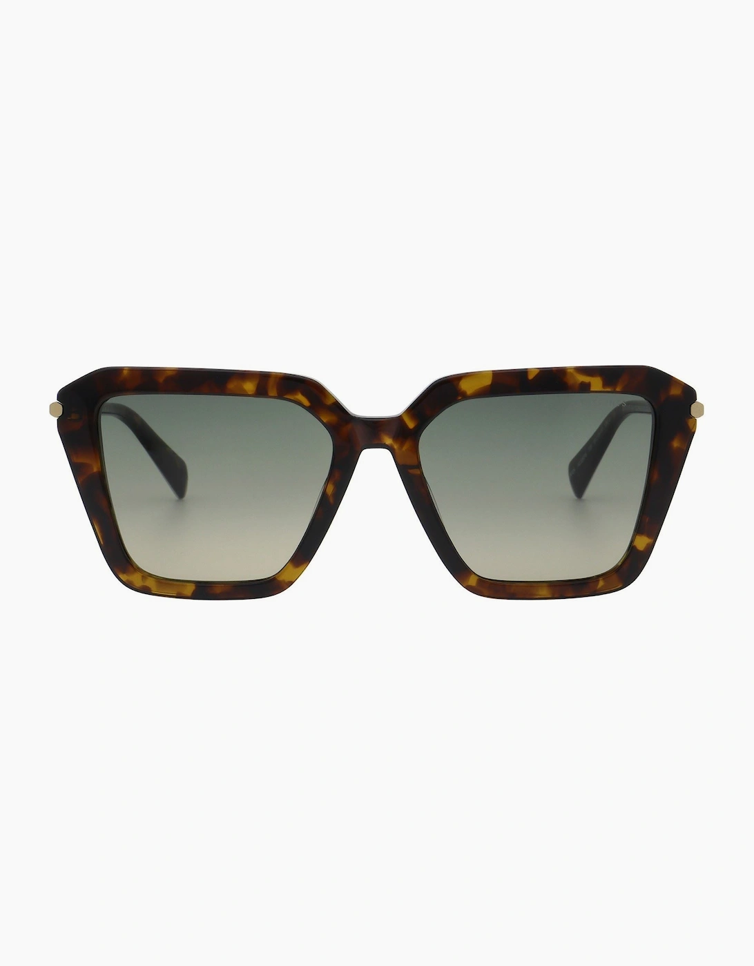 Allsaints Women's All Saints Gwen Sunglasses