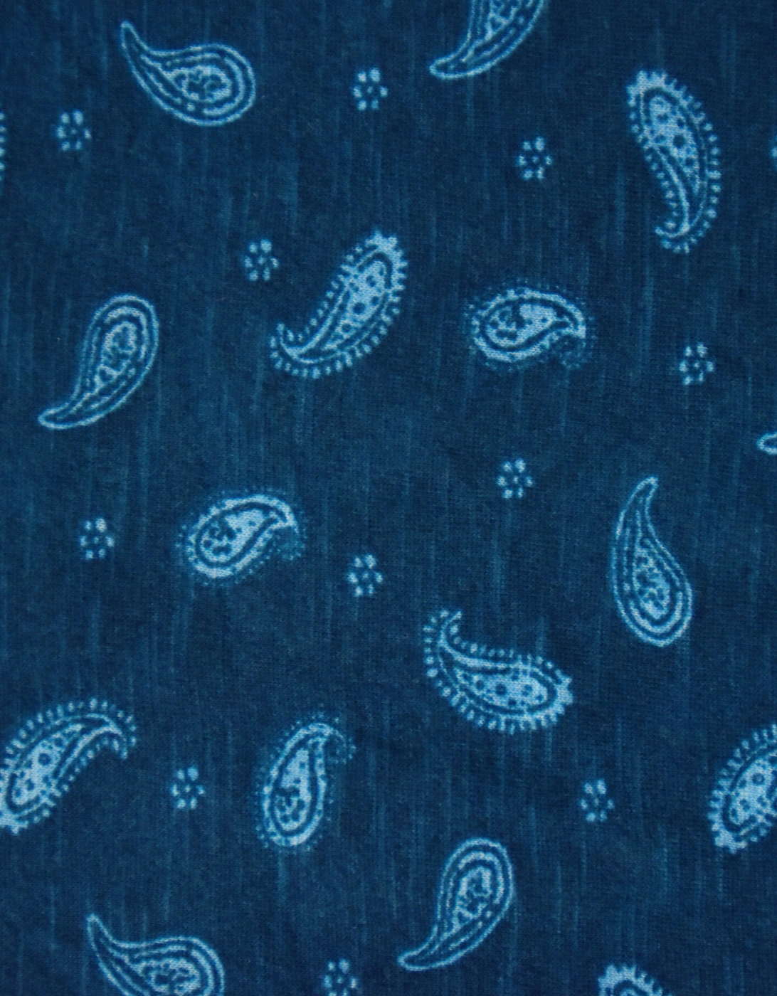 Blue Paisley Cotton Slub Round Neck T-Shirt
