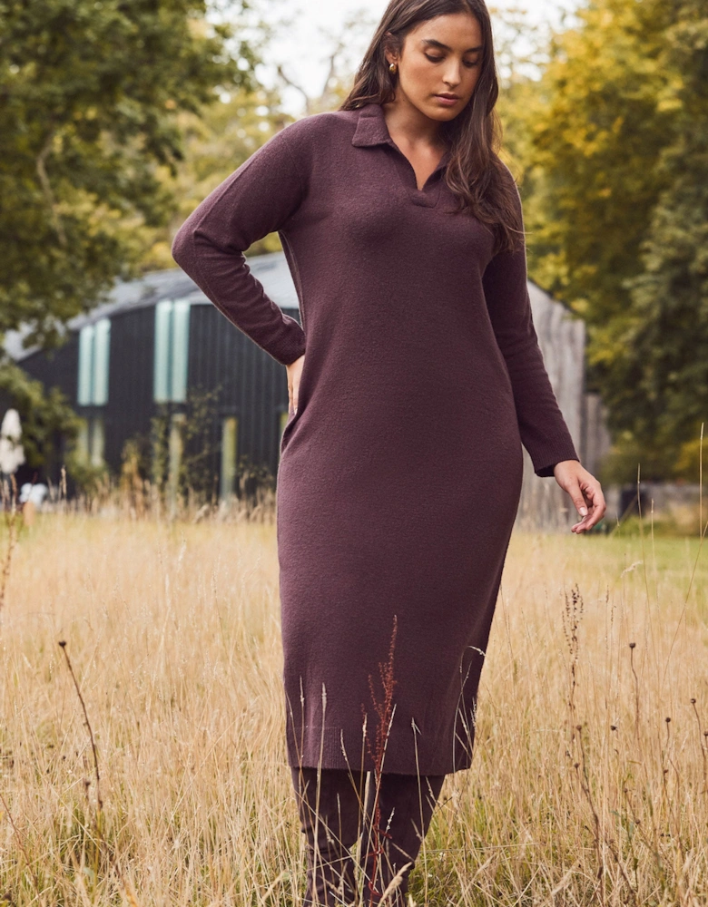 Chocolate Brown Polo Neck Knit Dress
