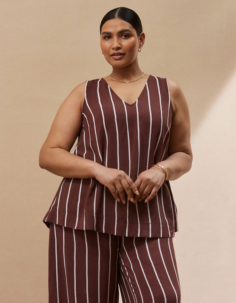 Chocolate Brown Stripe V Neck Top