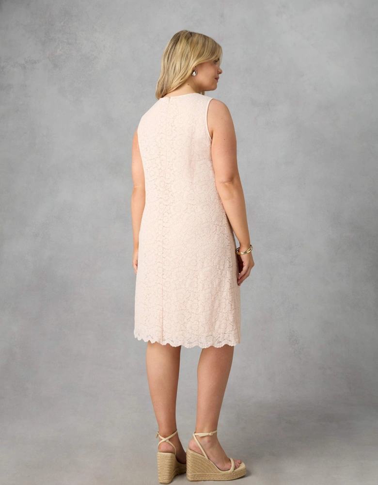 Blush Lace Shift Dress