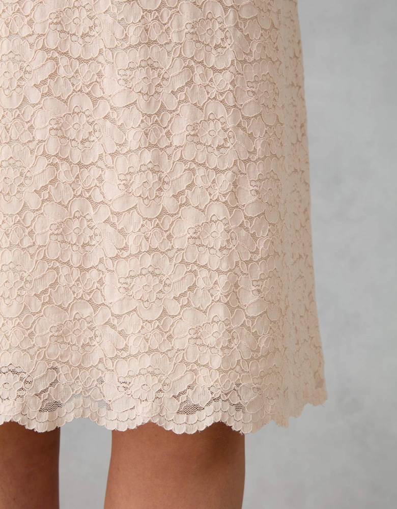 Blush Lace Shift Dress