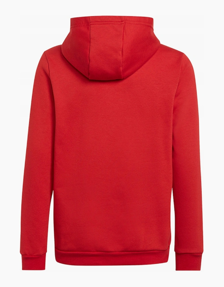 Childrens/Kids Entrada 22 Hoodie