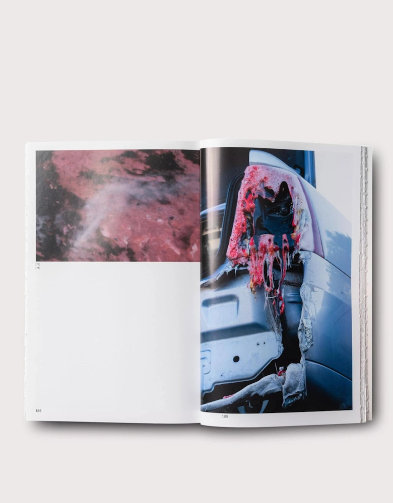 Sedimental Works Book